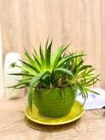 Amelia Comfort Stay Apartment - B&B Tirana