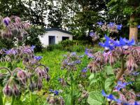 Meridiamus 2 - Ferienhäuschen in Boddennähe - B&B