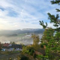 Favorable to guests because of recently noticed problem! Schonach mountain-Top, forest, free parking, new kitchen - B&B Schonach