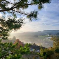 Mountain top, 2 apartments, 15people, 1130-1345ft2, free parking, new kitchen, renovated bathroom, high-speed internet - Ferienwohnung