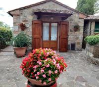 La Perla di Borgo Cignano - B&B Vagliagli