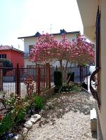 I Mosaici Guesthouse Luxury Apartment - Ferienwohnung