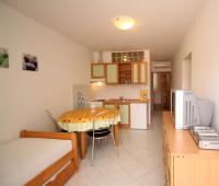 Appartement met 1 Slaapkamer en Terras