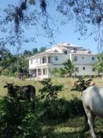 Villa Magante - B&B