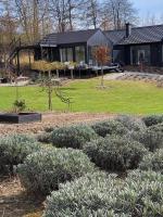 Czarnydomek - B&B