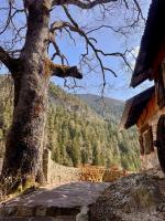 Maison Maralpine - B&B Roubion