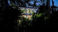 Secluded Jungle Home 5 min walk to the beach - Casa Garza - Chambres d'hôtes Puerto Viejo de Sarapiqui