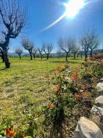 Castrum Gallani - B&B