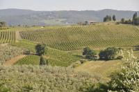 Agriturismo Renai e Monte II - B&B Gambassi Terme