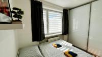 Appartamento con 1 Camera da Letto e Vista Città