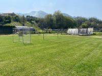 Appartamento Trifoglio - B&B Salò