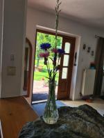 Casa-Dorina - B&B