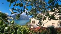 Villa gli Ulivi - Bariloche Lake & Mountain View - Chambres d’hôtes Perledo