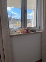 Jack24 Wörnitzstrand - Ferienwohnung