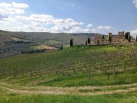 La Casina di Lalu' - B&B Meleto