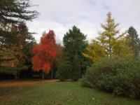 CHANTOISEAU - B&B Ligueil