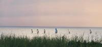 Haus Land und Meer Sahlenburg - B&B Cuxhaven