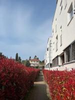 Apartment Violetta-Punta - B&B