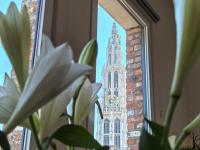 Historical center Antwerp, all on foot - B&B