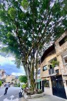 Acogedor y Cómodo Estadio Laureles - B&B Medellín