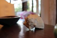 Efharis Beachfront Villa - B&B
