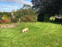 Greenhaven - B&B Narberth