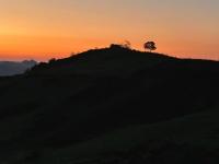 Casa San Stefanu - B&B Olmeta-di-Tuda