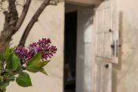 La casita de Tiane - B&B La Adrada