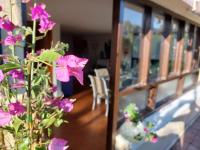 Vida Boa - B&B