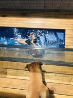Luxury Papamoa Beach House with Pool and Spa Pet Friendly - B&B Papamoa