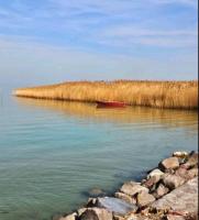 White Rose Lake Luxury Apartment Balaton Siófok - B&B Siófok