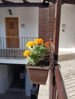 Suite San Mateos 15 - Bed and Breakfast Jerez de la Frontera