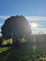 Le Longbeach 2 - Bed and Breakfast Longueville