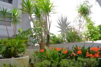 Sunshine Patio del Circulo - B&B Córdoba