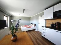 One-Bedroom Premium Apartment with Ocean View