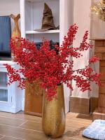 NHÀ PHỐ SÂN VƯỜN entire - B&B Ho Chi Minh City