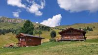 Chalet El Baitel - Ferienwohnung Bellamonte di Predazzo