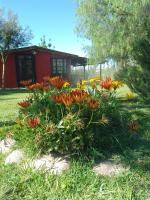 Lugar Infinito - B&B