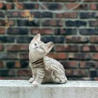 PATIO Stay - B&B Daegu