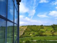 ARTs in Monferrato - B&B Parodi Ligure