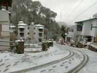Shashi Homestay's - B&B Bhowali