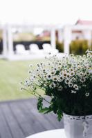 RELAX PORT - B&B Bigauņciems