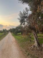 La Casetta con Piscina condivisa in campagna vicino al mare - Canestanco 18 - B&B Santa Croce Camerina
