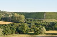 Casa Emy da Teresina - B&B Piobesi d'Alba