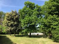 Périgourdine avec piscine, nature & bastides - B&B Faux-en-Périgord