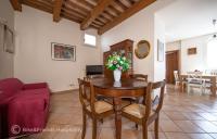 Gatto errante - B&B Pesaro