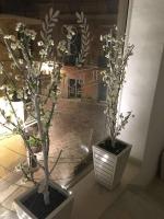 IL Borgo Relais - Bed and Breakfast Gravina in Puglia