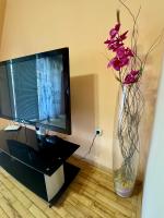 Apartment mit Terrasse