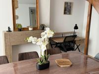 Appartement l'écho des remparts - B&B