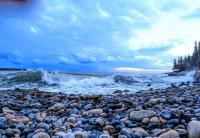 Oceanfront Crackling Cove Cottage Family firer pit slleeps 6 - Chambres d’hôtes Gouldsboro